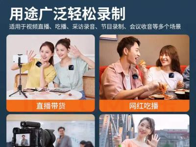 2.4G智能降噪无延时无线领夹麦克风一体解决方案